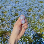 【ネモフィラ】ピアス/イヤリング　