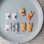 雨の日シリーズ　てるてるくまうさ