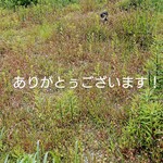 sayopooh様用  お子様用不織布カバー「リバティプリント」ハンドメイド