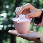 私だけのたからもの。　ポータブルバッグ付き　梅花茶具　茶器