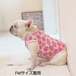 冷感ポリエステルニット・イチゴ柄ノースリーブ  
