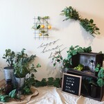 ◆レンタル本格おうちスタジオセット◆ FOREST NEW 誕生日 ハーフバースデー 