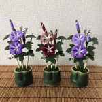 n様オーダー品  ちりめん細工:朝顔の飾り