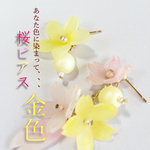 金色。あなた色に染まって、桜ピアス
