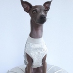 オーダー犬服 コットン刺繍マーガレット タンクトップ