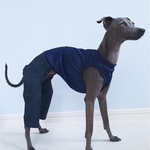 オーダー犬服 メッシュ×ストレッチデニム インナーパンツ