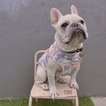 オーダー犬服 トロピカルフラミンゴ タンクトップ