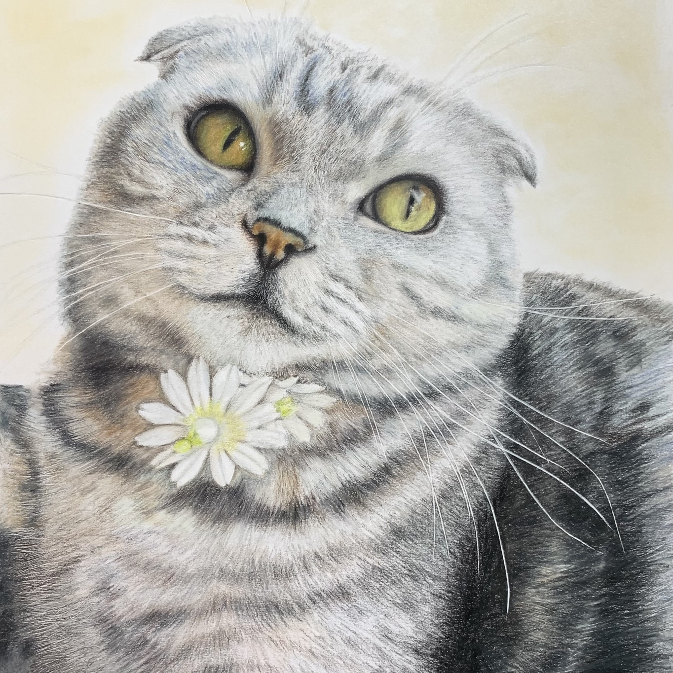 愛するペットの似顔絵 オーダーメイド ペット いぬ ねこ 肖像画