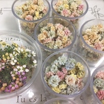 専用ページ　tae0524さま