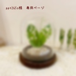 ＊ppt265s様　専用ページ＊