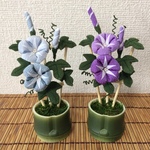 ひ様オーダー品  ちりめん細工:朝顔の飾り