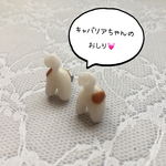 New! キャバリアちゃんのおしり＊ピアス