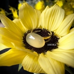 淡い黄色のyellowagate リング