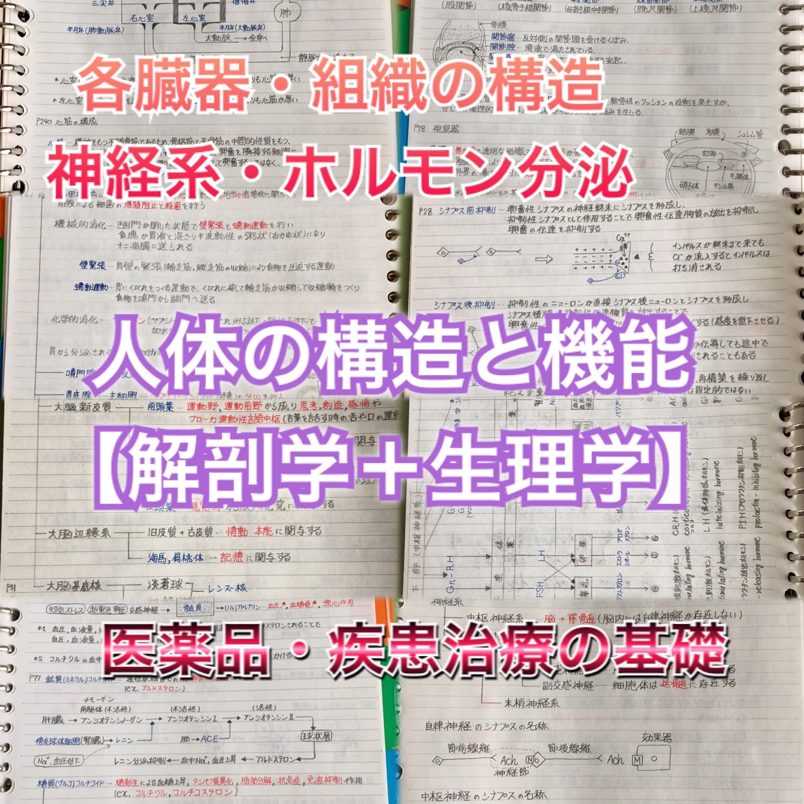 看護師、准看護師国家試験、看護学科定期試験対策シリーズセット