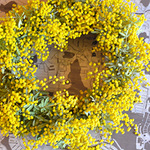 【Thanks♥1000感謝セール】限定5ミモザのドライフラワーリース