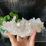 スター雪美人【爆レア‼️　聖美‼️　結晶】マニカラン産ヒマラヤ水晶クラスター