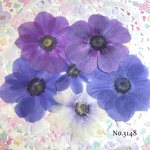 ♡new♡作家様必見♡小さめアネモネ押し花セット♡