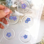 🚚🆓忘れな草のシーリングスタンプ‪𓍯 ‬