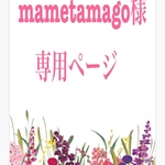 mametamago 様　専用ページ　夏マスク