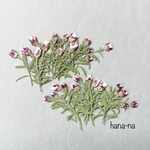 🌸花かんざし　小さなつぼみ30輪   ＊ 押し花