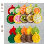 アクリルエコたわし フルーツたわし 10枚