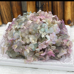アナベル新カラー❣️アレンジ加工アジサイ小分け❣️ハンドメイド花材プリザーブドフラワー