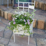 送料一律　心に寄り添う　寄せ植え　椅子型　ブリキポット　秋まで楽しめるお花の　寄せ植え
