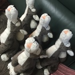 遠吠えオオカミ