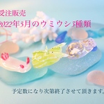 <ミニフィギュア>〜2022年5月の3種類〜受注販売