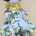 aibo ベアトップムームードレス レイ付き