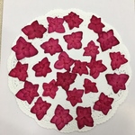  NO495 再販✨恋物語💕八重紫陽花 バラ咲き🌹ルビー／押し花素材