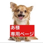専用ページ