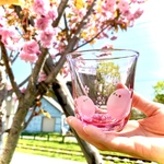 【春限定】シマエナガのグラス〜桜吹雪〜