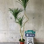 光触媒　人工観葉植物　ウォールグリーン　フェイク　フラワー　コンシンネg