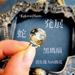 〖再販〗【蛇とオニキス】白蛇のタリスマンリング✶無限の発展✶ring of talisman/KakeraPlants