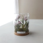 Botanical glassdome きつねあざみ B