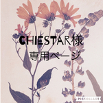 chiestar様専用ページ