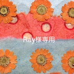 Ray様専用