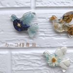 カーコ様専用