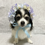 犬紫陽花花冠☆猫帽子ペット帽子犬紫陽花アフロ紫陽花ヘッドドレス犬帽子アジサイかぶりもの