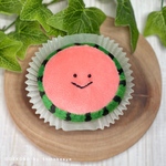  【🍉夏限定🍉】むしパンくんぬいぐるみ【赤スイカくん】