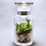 苔テラリウム 牧場 羊たちのいる風景 国産薬瓶250ml