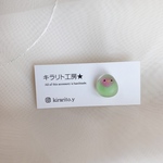 小鳥のピアス（コザクラインコ：赤・緑）