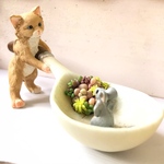ネコちゃんとネズミくんの多肉遊び♬︎