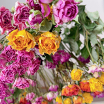 薔薇ドライフラワー　ハーバリウム花材　10輪