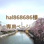 【hal868686様】ご注文品