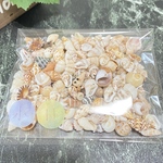 天然貝殻　シェル　アソート　素材　小−11  30g  沖縄　海