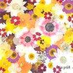 ♡new♡作家様必見♡押し花MIXセット♡押し花セット