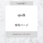 【 tjb1様専用 】