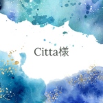 【silver】tiny cz ring